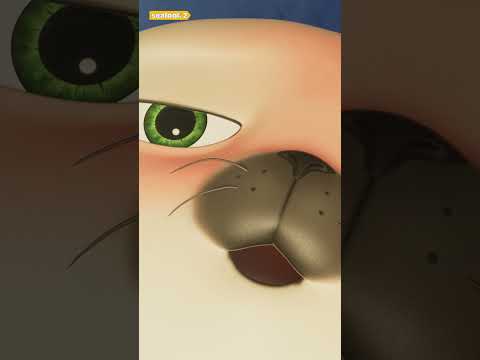 Baby Seal's POV #shorts