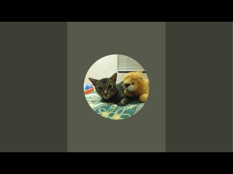 Let’s Play Bully PlayStation 2 - Part #003