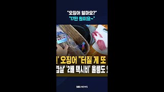 "오징어 얼마요?" "17만 원이요~" #shorts