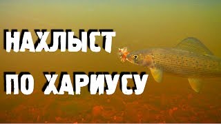 Хариус на малых реках сибири нахлыстом мушки