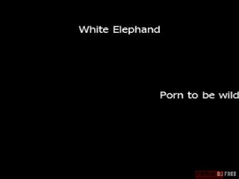 White Elephand - Porn to be wild