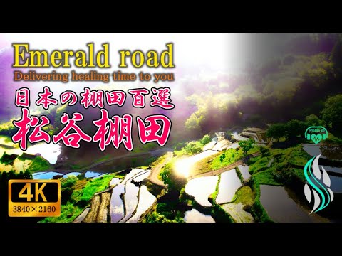 【旅行支援】日本の田舎観光スポット！絶景の棚田