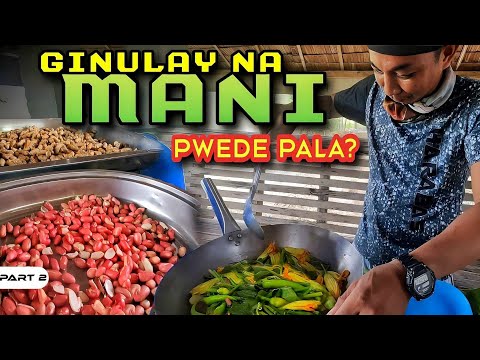 P2-GINULAY NA MANI, PWEDE PALA? - EP1110