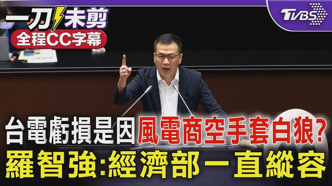 曝台電虧損黑洞原因 羅智強:白狼族空手套走400億