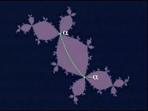 The Dynamics of the Rabbit (1996) - [Translation]