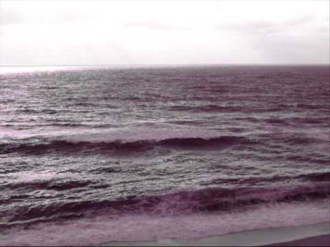 Nas Asas da Saudade, Carlos Paredes