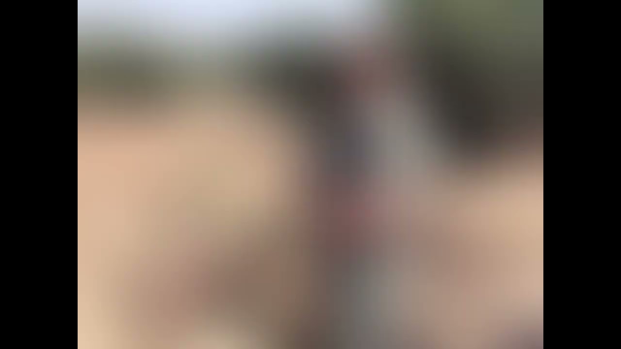 A short VLOG of my final hunt of 2022 at Cheasas Peak Game Lodge. I got to take a Golden Wildebees