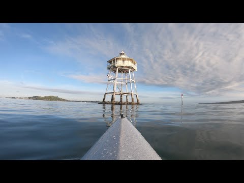 Kayaking to Bean Rock lighthouse in Auckland