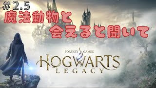 【ホグワーツレガシ】ニフラーかわいいよね…【～魔法動物を求めて～】