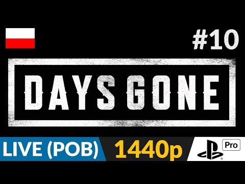 Days Gone PL 🌄 #10 (odc.10 Poboczne - live) 🛵 Niszczenie gniazd i obozów | Gameplay po polsku 4K