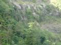 Black Vulture in the crater of San Salvador volcano