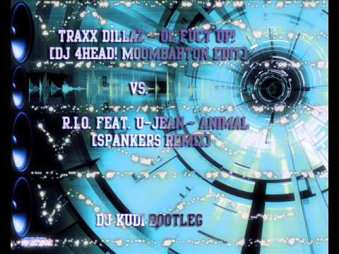 Traxx Dillaz - Ol Fuct Up! vs. R.I.O. feat. U-Jean - Animal [DJ KUDI Bootleg]