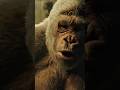 Is Winter a Traitor? | @latinomarcobelvis2133 | #planetoftheapes #edit #shorts