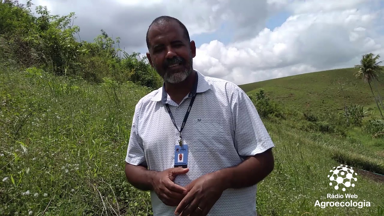 Como controlar as formigas Cortadeiras - Dicas Agroecológicas