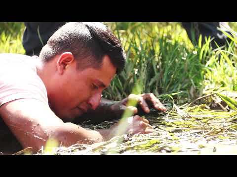 REC #325 - Legendarios Guadalajara