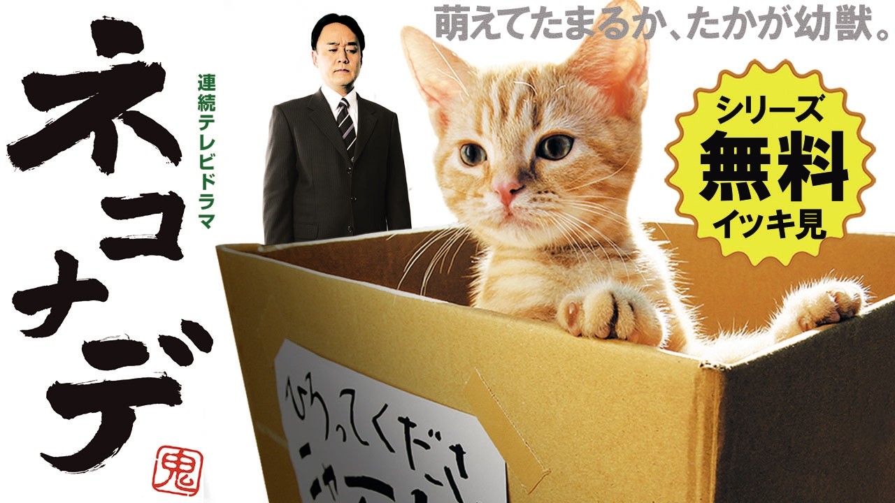 【📺イッキ見 無料配信中】『ネコナデ』全話セット！「真の癒しを手に入れるには、まず自分が変わらなければならない」、頑張っている全ての人に「癒し」と「笑い」と「涙」を贈ります！