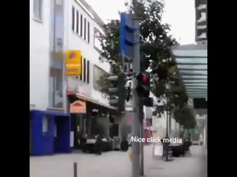 Cats ,ducks crossing roads vs humans