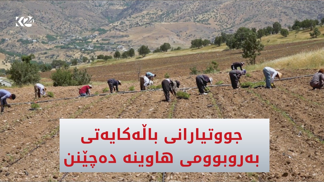 ڤیدیۆ | بەهۆی بارانبارنی زۆر چەم و رووبار و کانییەکان پڕ ئاو بوونە