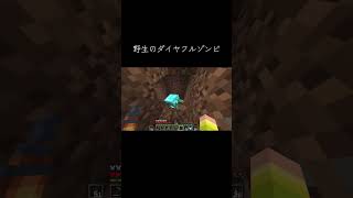 😎OMG😎野生のダイヤフルゾンビが現れた！ #ゲーム実況  #Minecraft #マイクラ
