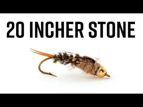 20 Incher Stone