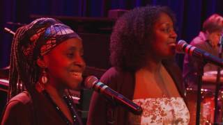 Howe Gelb - But I Did Not