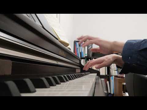 Die Zauberflöte "Der Vogelfänger bin ich ja" Papageno, Karaoke Piano Accompaniment