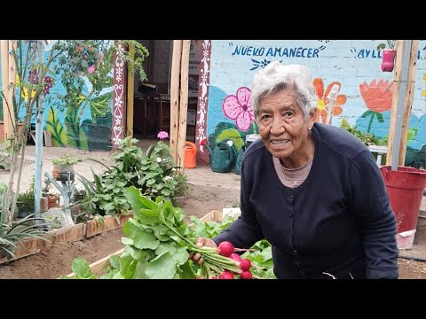 Nourishing Hope: Urban agriculture for elders