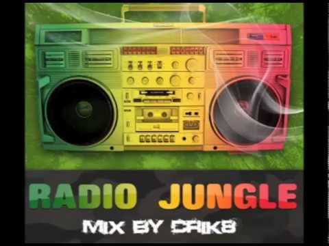 Drum and Bass Ragga Jungle mix
