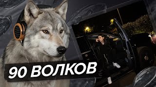 Медиа рецензия