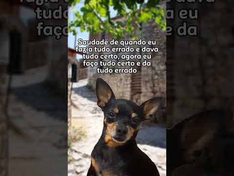 A mais pura verdade sobre este assunto: o que você precisa saber.