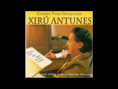 Perfil De Noite E Estância video