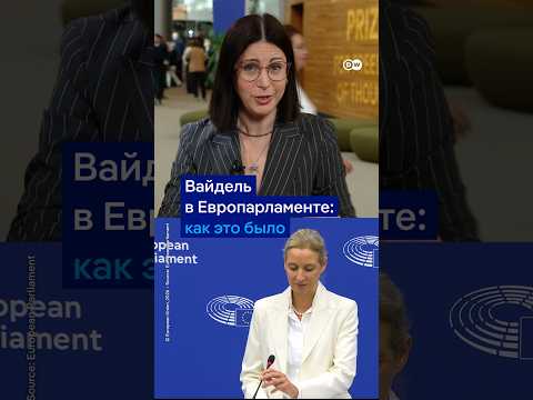 Алис Вайдель из АдГ в Европарламенте: как ее приняли?