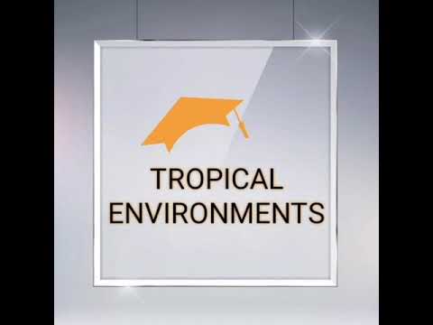 A Level Geography - THE SAVANNA (Distribution, Climate, Vegetation)