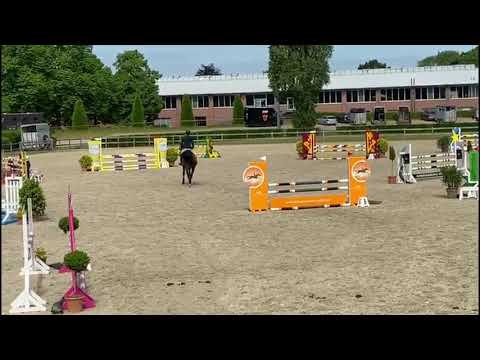 Turnierimpressionen - Corfu de la Vie in Elmshorn