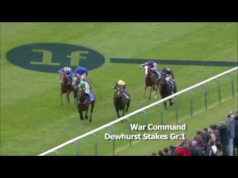 War Command Australia D1