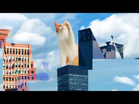 「想像できたら、Photoshop。猫グッズ」篇 | 太陽企画 - TAIYO KIKAKU Co., Ltd.