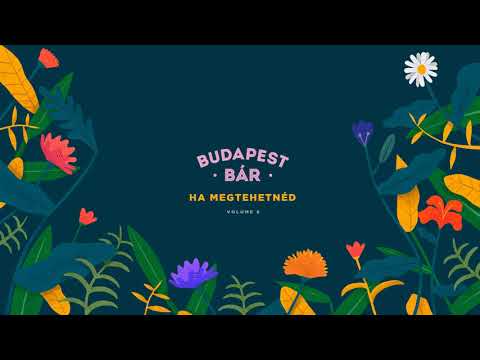 Budapest Bár - Ha megtehetnéd (Vol 8.) - teljes lemez
