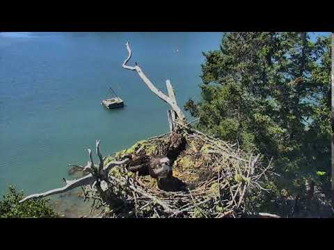 Greetings from Dr. B. 2018 07 07