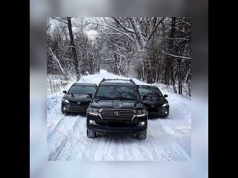 Bass music (Figo Da Dope)