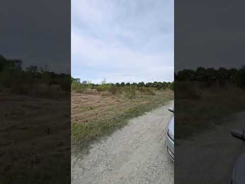 Teren intravilan 1.589 mp în Priseaca – Lângă Complex Daso Cado | Oportunitate — Video