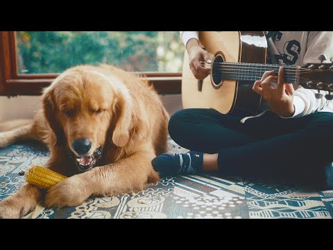 Xin Em | Bùi Anh Tuấn | Bun & Orin Cover