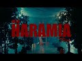 DESH - HARAMIA (Music Audio)
