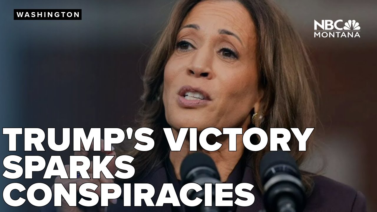 'BlueAnon' theories pop up as some on Left attempt to explain Trump's win