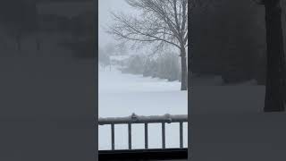 Alan Jackson Winter Wonderland #alanjackson #countrymusic #christmas #winterwonderland #snow #fypシ゚