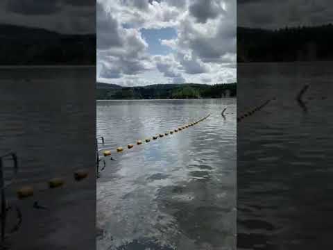 Swimming area next to boat launch - down hill from actual campground
