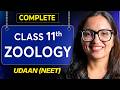Complete Class 11th Zoology Oneshot For NEET Udaan 2026 Ritu Ma Am