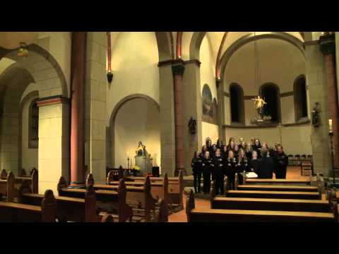 Gotteslobvideo (GL 208): Christe, du Lamm Gottes