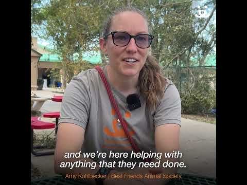Volunteers and staff helping animal shelters in Florida after the hurricanes