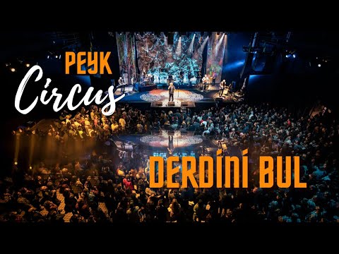 Derdini Bul - Peyk