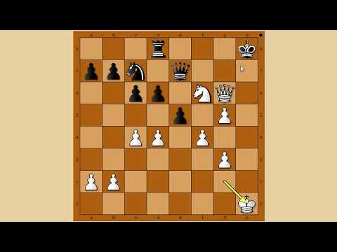 Neočekivani potez Damom  - KOCH vs JAZSK - (  Pozicija br 48 )     # 1141